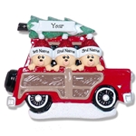 Belly Bear Family of 3 in Woody Wagon RESIN Personalized Family Ornament