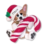 Corgi Puppy Dog with Candy Cane