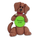 "Demmy" Daschund with Frisbee Dog Ornament - Limited Edition