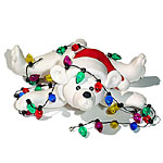 Polar Bear w/Lights<br>Personalized Christmas Ornament