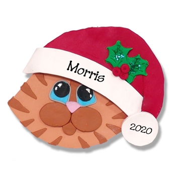 Orange Tabby Cat Face w/Orange Muzzle Personalized Cat Ornament - Limited Edition