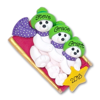 Polar Bear Family of 3 on Sled Personalized Family  Ornament 2 - Limited Edition